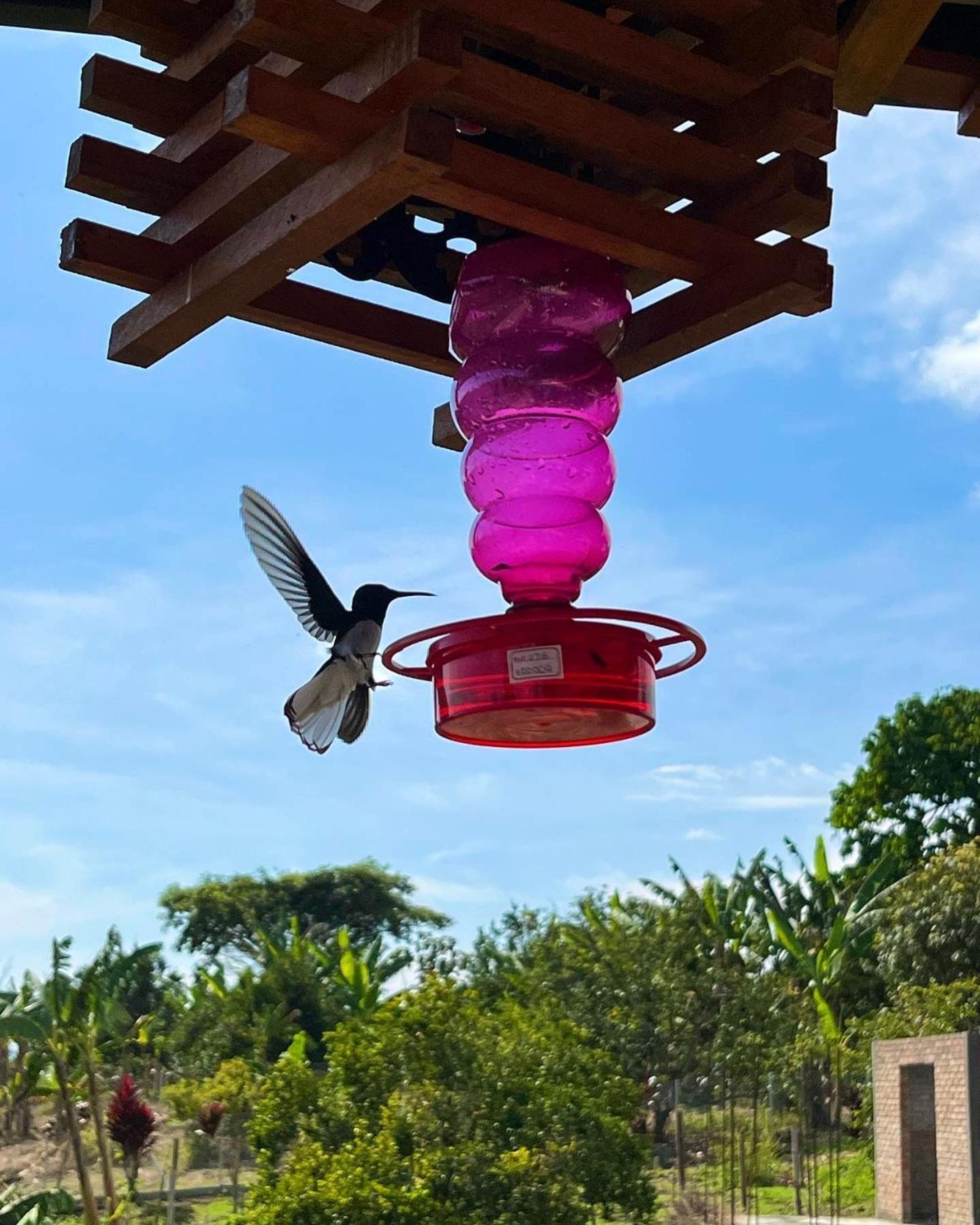كويمبايا Hotel Casa Campestre Hh المظهر الخارجي الصورة